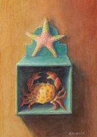 starfish on top of a blue box with a crab inside