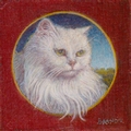 miniature portrait of a white angora cat
